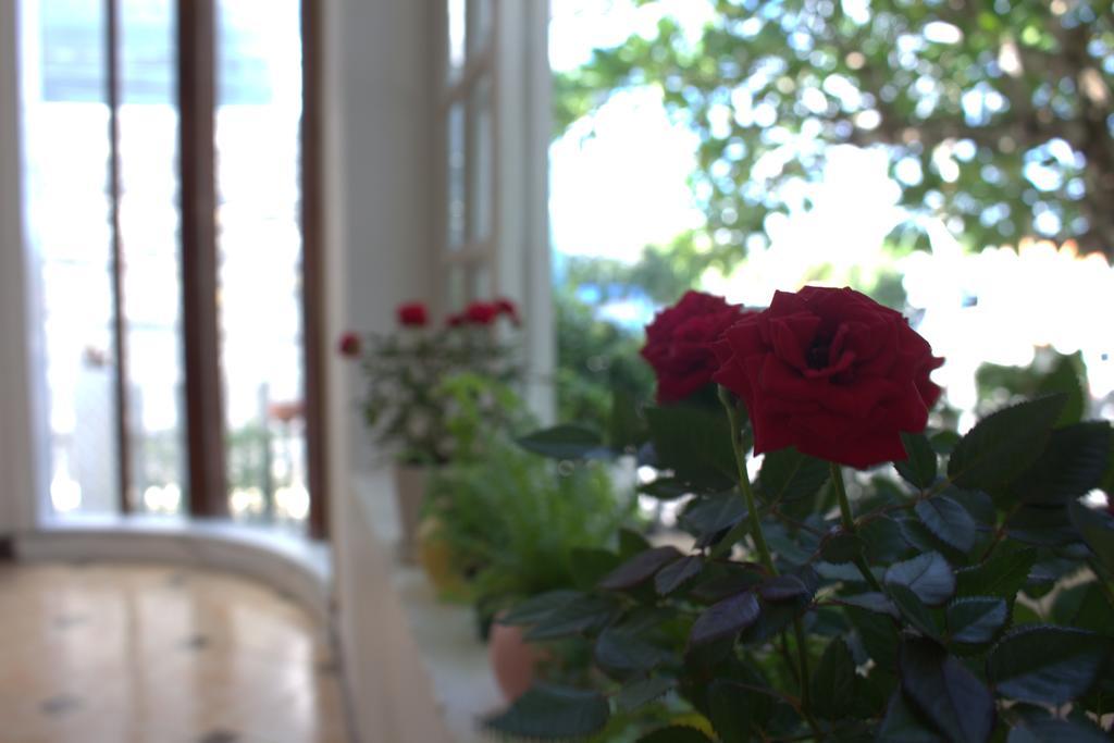 Des Ami Villa Vũng Tàu Exterior foto